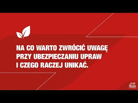 youtube-video-thumbnail