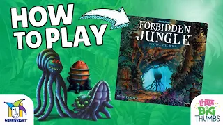 How to Play : Forbidden Jungle
