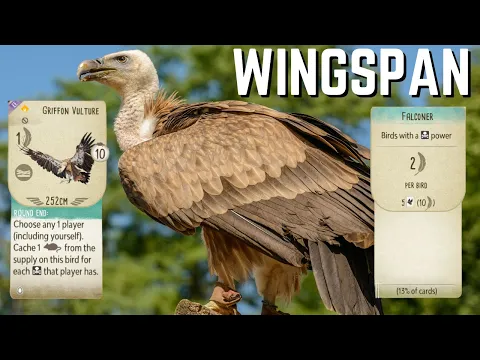 Wingspan Gameplay: Talons of Terror