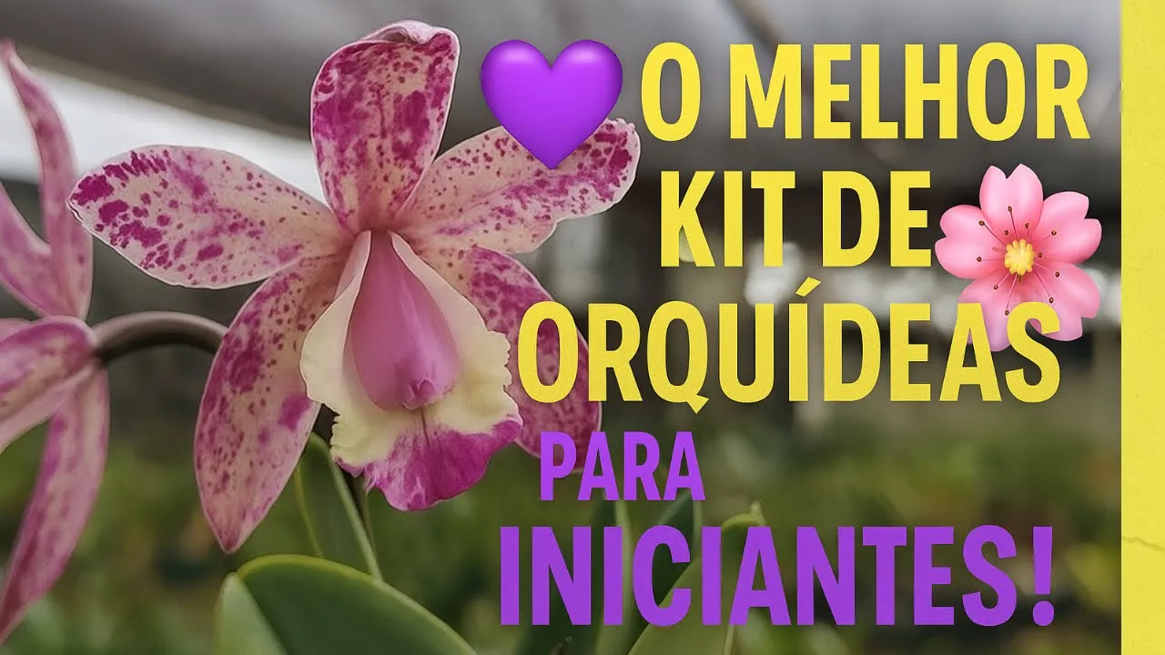 Vídeo de MAIS ORQUIDEAS