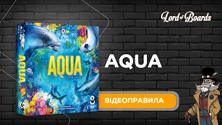 Настільна гра "Aqua. Океанське біорізноманіття" - відеоправила