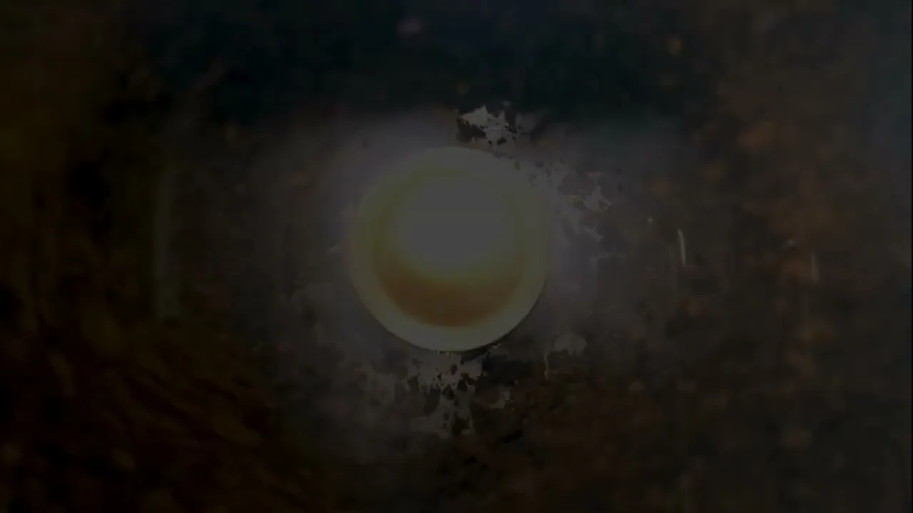 Vídeo de Gasparetto Café Especiais