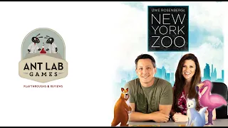 Ant Lab Games Playthrough Review