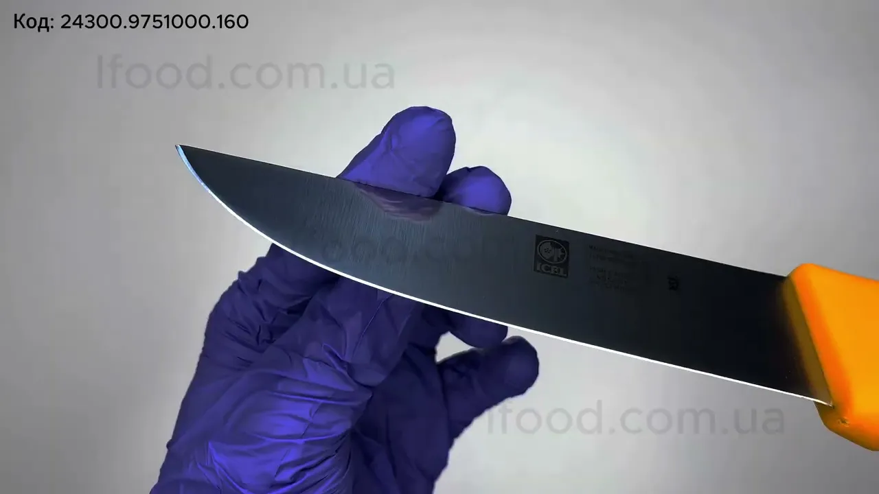 Ніж для мяса Icel Poly 160 мм синій 24600.9751000.160