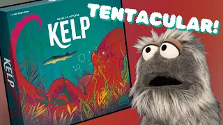 Kelp: Shark vs Octopus | Eight-Limbed Excellence