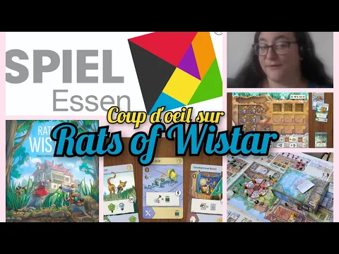 Rats of Wistar - Essen 23 - coup d'oeil
