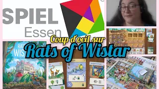 Rats of Wistar - Essen 23 - coup d'oeil