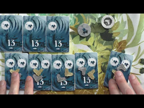 Spirits of the Forest - Escenarios y Expansiones