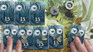Spirits of the Forest - Escenarios y Expansiones