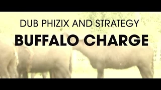 Dub Phizix and Strategy - Buffalo Charge