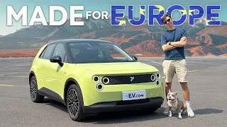 Europe Needs the AFFORDABLE Firefly Mini EV Now?
