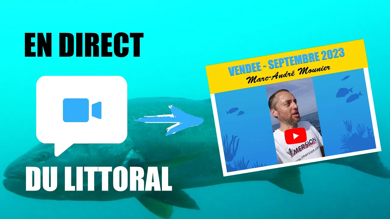 Vignette de la vidéo