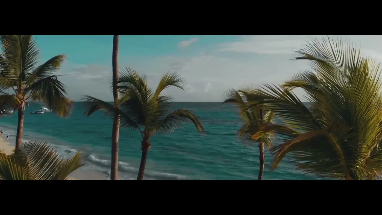 Vídeo de TML Beachwear