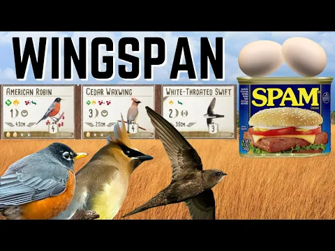 Wingspan Gameplay: Classic Egg Spam