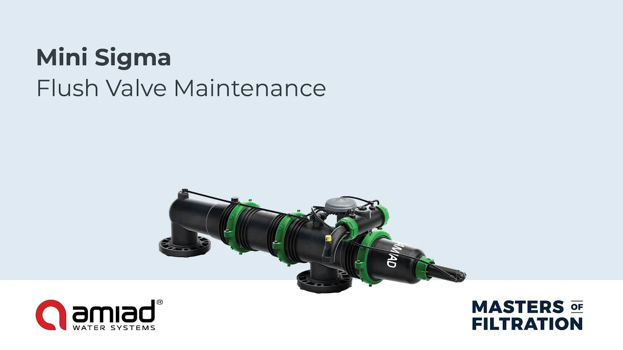 Mini Sigma Flushing Valve Maintenance