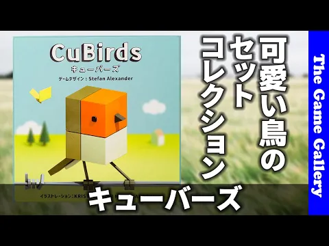 【キューバーズ】トリを交換して狙ったコレクションを完成しよう / TGG ボードゲーム
