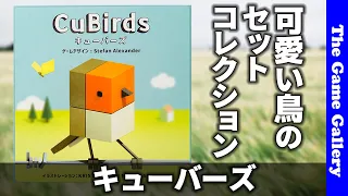 【キューバーズ】トリを交換して狙ったコレクションを完成しよう / TGG ボードゲーム