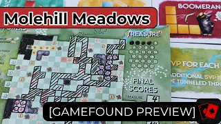 Gamefound Preview | Molehill Meadows