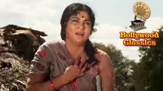 Mere Raja Mere Lal - Best of Laxmikant Pyarelal - Raja Aur Runk