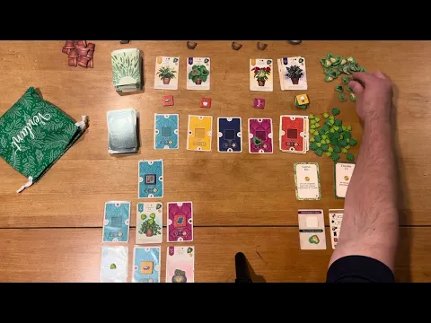 Verdant - Straight Up Solo with John LaRuffa
