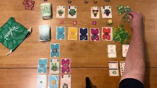 Verdant - Straight Up Solo with John LaRuffa