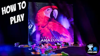 How to Play Life of the Amazonia