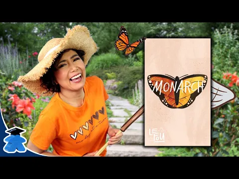 Monarch - A Two Player Hidden Movement Game with Butterflies