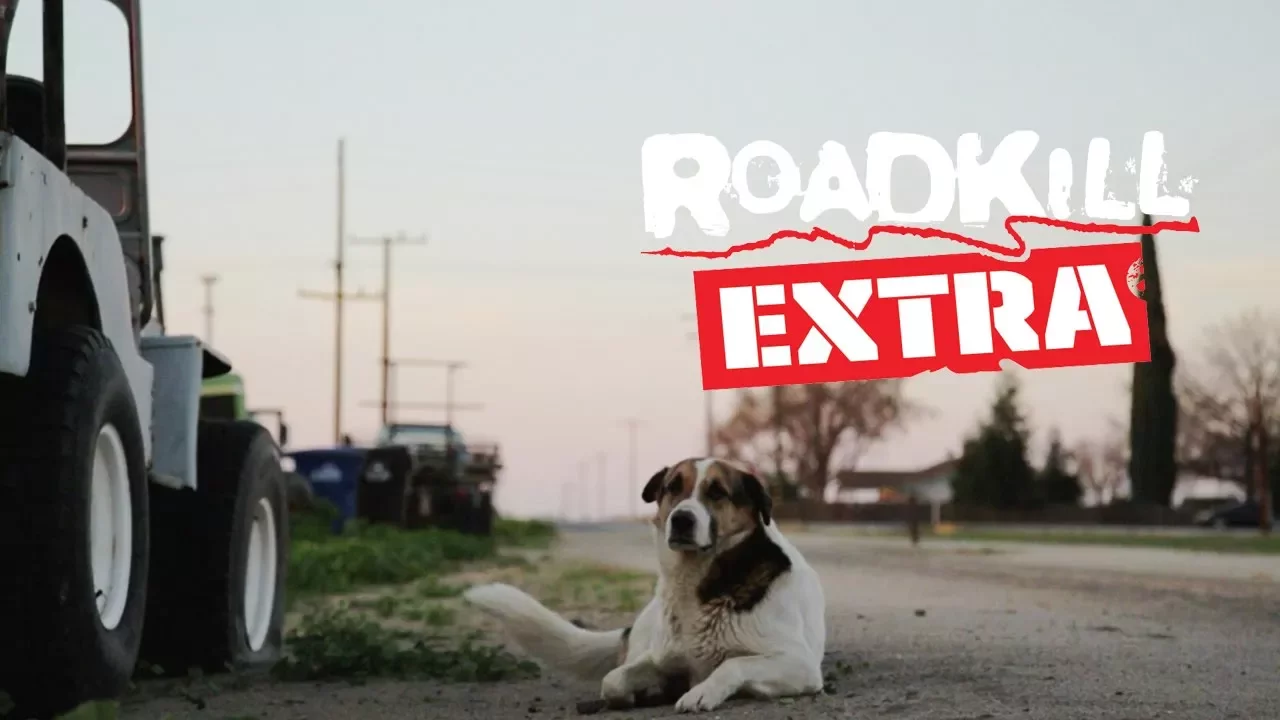 A Tribute to Big Joe the Shop Dog - Roadkill Extra