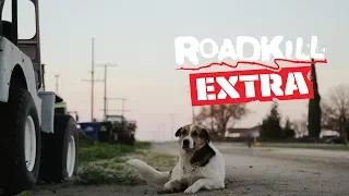 A Tribute to Big Joe the Shop Dog - Roadkill Extra
