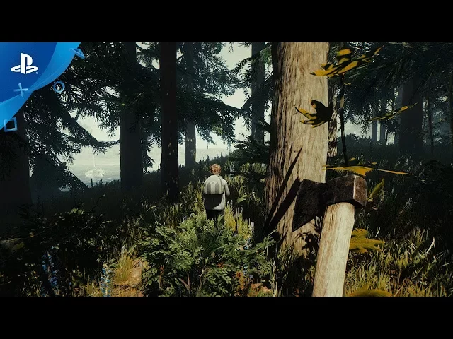 Is The Forest Cross-Platform or Crossplay? » Multiplayer Game