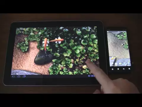 Відео Koi Free