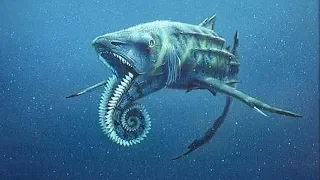 The Hidden Secrets of the Ordovician Age