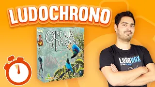 Ludochrono - Oiseaux de paradis