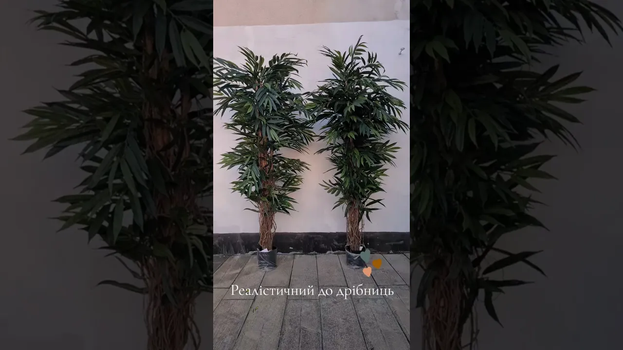 Искусственный фикус Лонгифолия лиана De Luxe H210cm NKoop FW