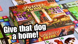 Forever home, what is it about?