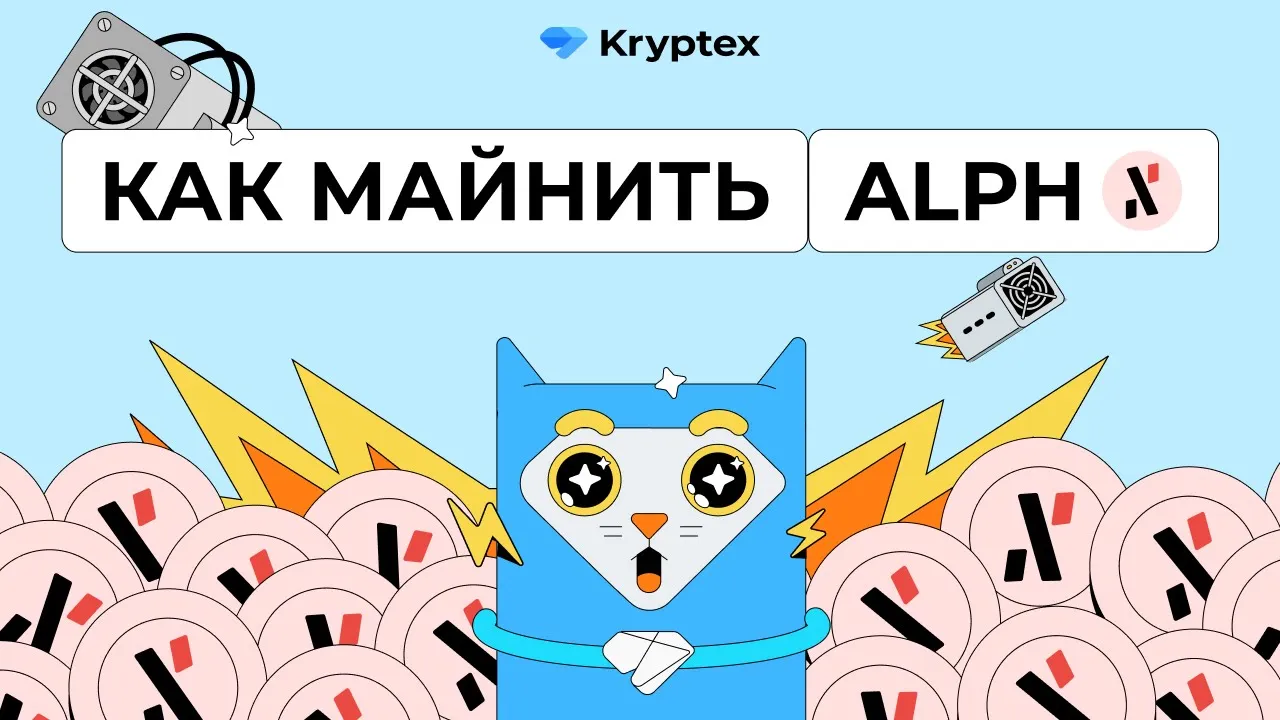 Видеогайды