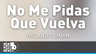 No Me Pidas Que Vuelva, Orlando Liñan y Mirito Castro - Audio