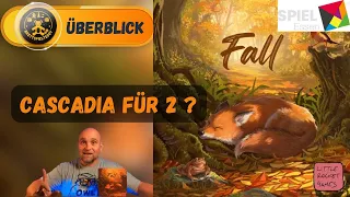 Fall - Herbst - Brettspiel Teddy - Regeln und Meinung