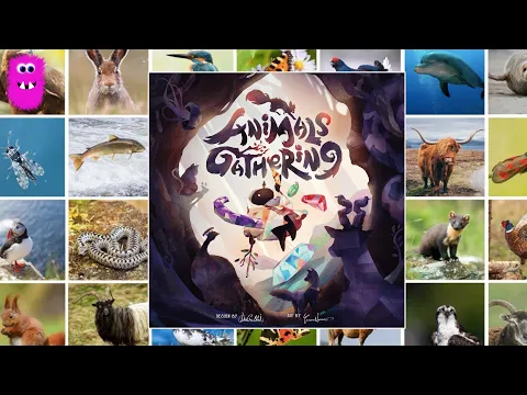 Animals Gathering, Regeloverblik & Første indtryk