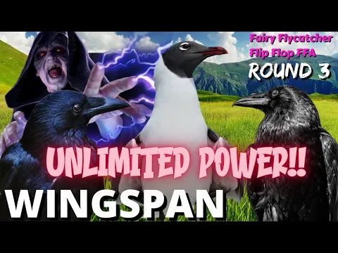 The Dark Side of Franklin's Gull: Wingspan Tournament