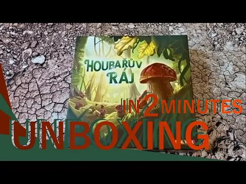 Wonder Woods UNBOXING in 2 minutes