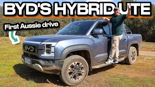 Beating Ranger and Hilux to the plug-in hybrid punch (BYD Shark 6 2024 Review)