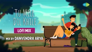 Tu Mile Dil Khile Danvendra LoFi Mix | Danvendra Arya | Anoop Sankar | Slowed and Reverb