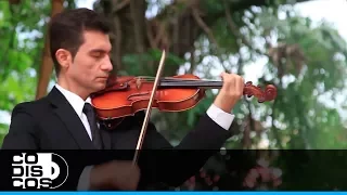 Se Acabaron, Violines Vallenatos - Vídeo Oficial