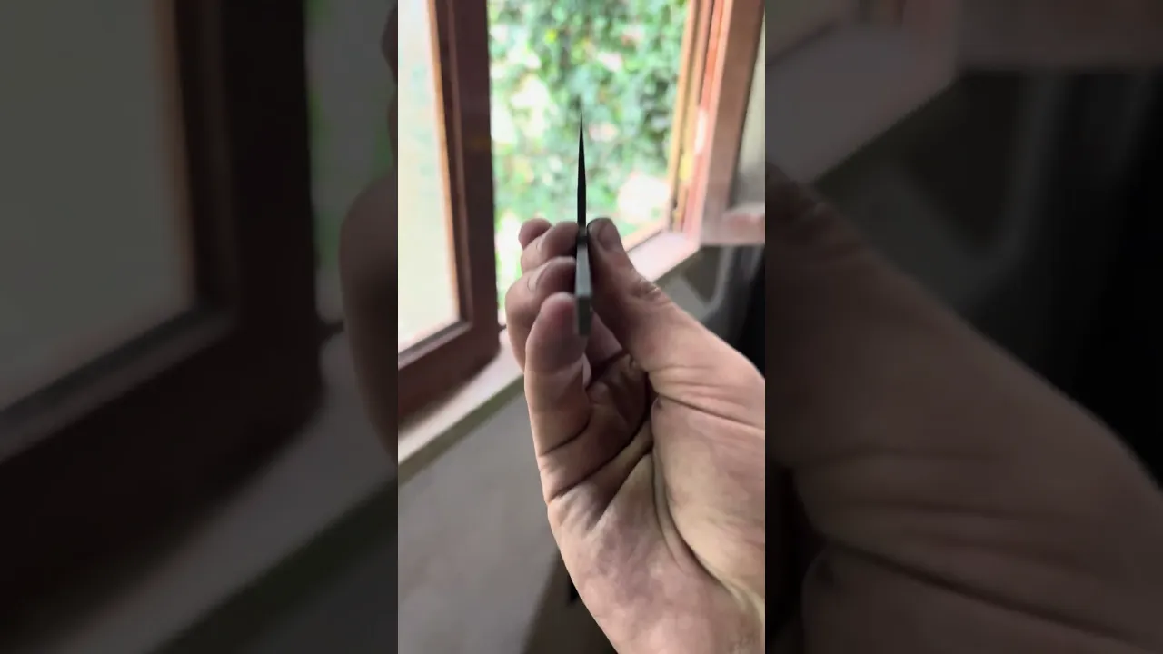 Video de gallocuchillos