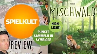 Mischwald // Brettspiel // Regeln & Meinung