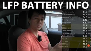 Looking at Scan My Tesla in MIC Model 3 SR+