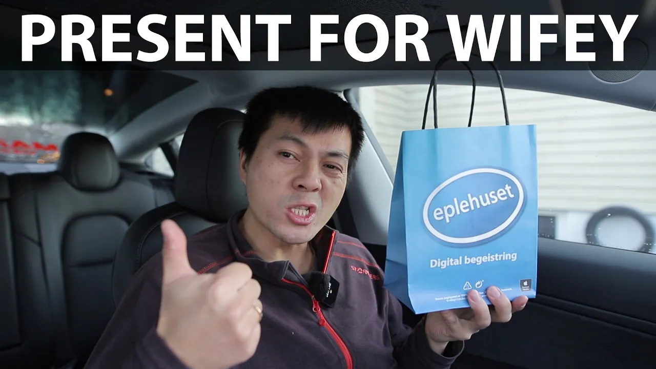 2021 Tesla Model 3 driving 4 hours to buy Christmas presents