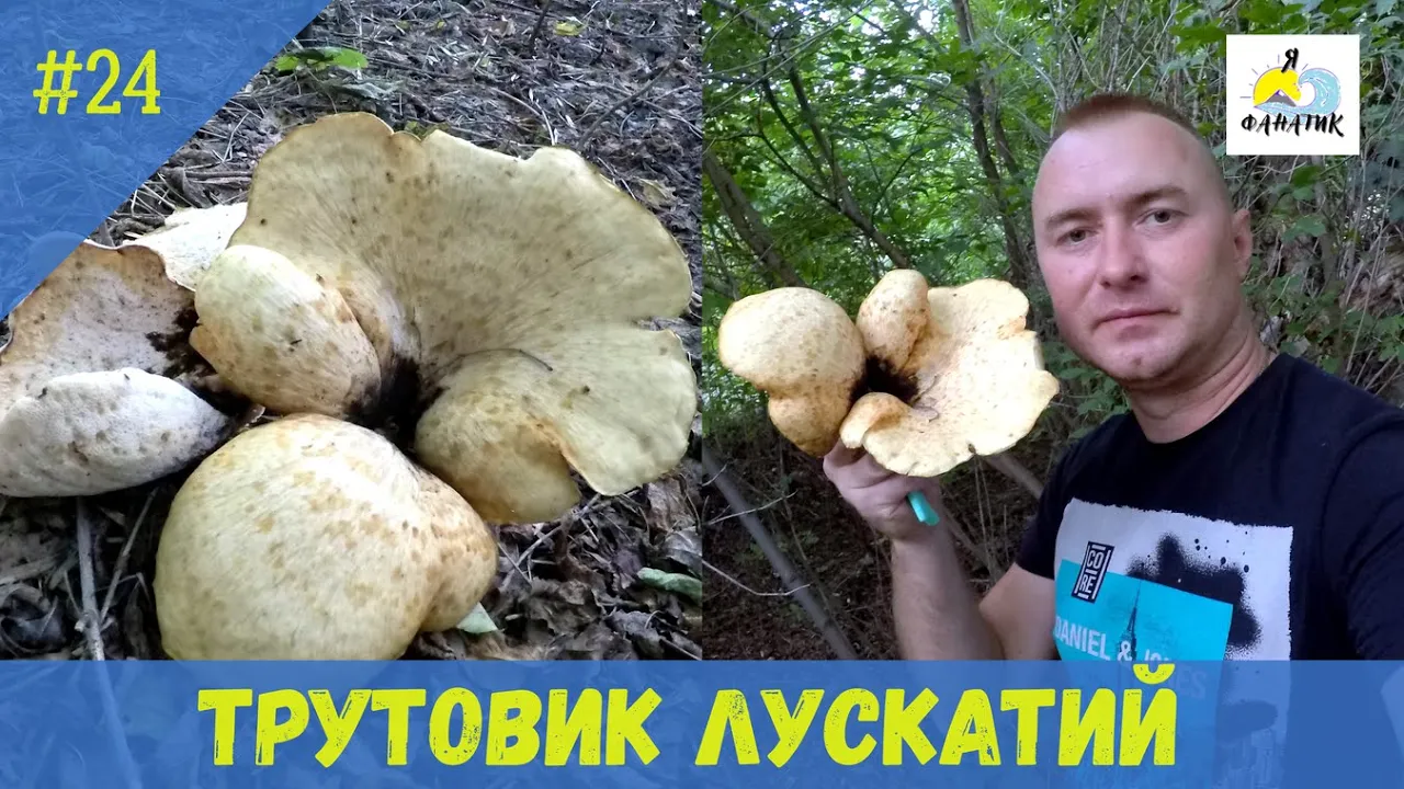 rybalka