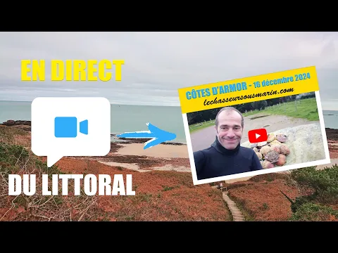 Vignette de la vidéo